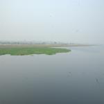 Vraj-Yatra-2014- (381)